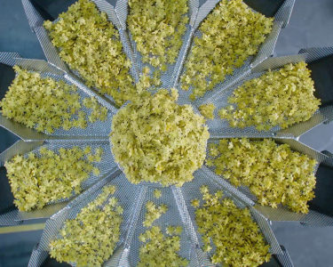 Scaled Strategies to Meet Rising Production Demand | High Dream
