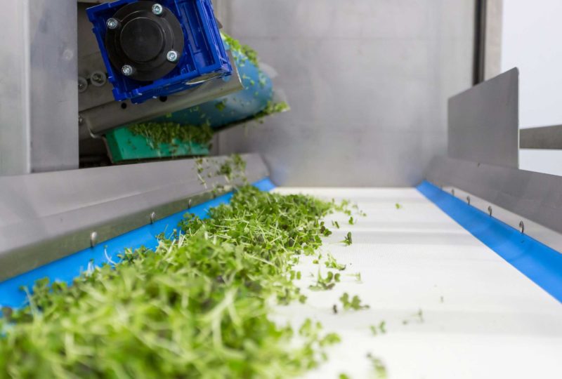 Multihead Weigher, improves accuracy and accelerates growth | High Dream