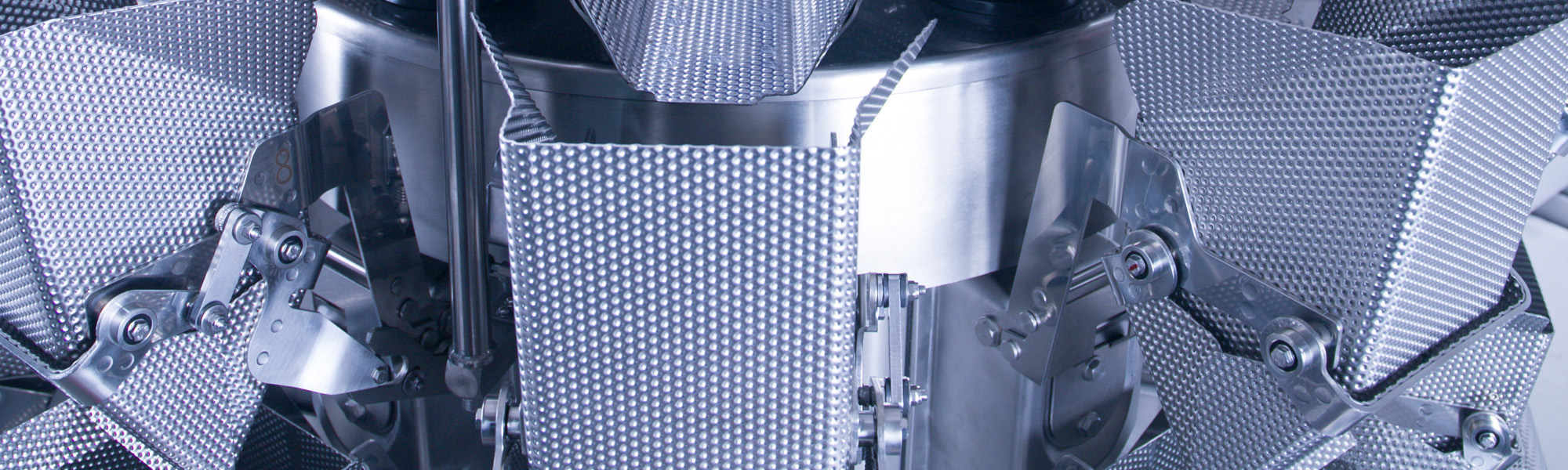 Multihead Weigher